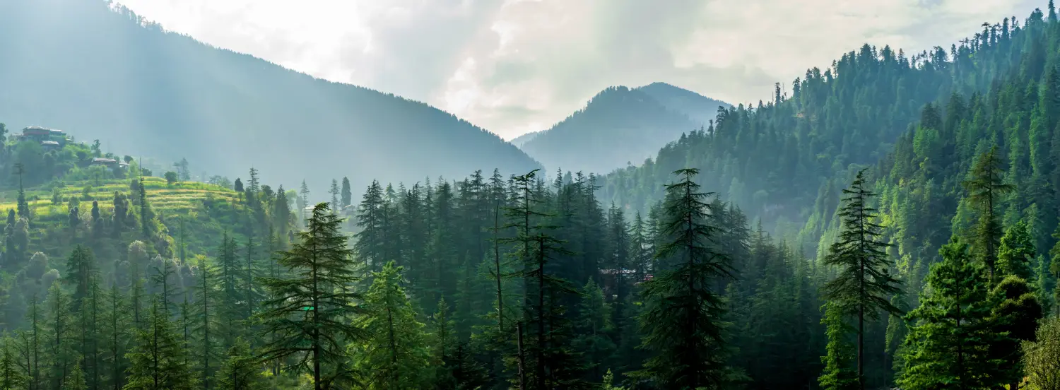 Ein Bergtal, Jibhi, Tirthan-Tal, Himachal Pradesh, Indien